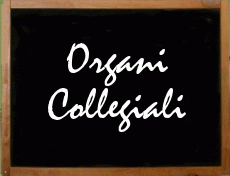 organi-collegiali